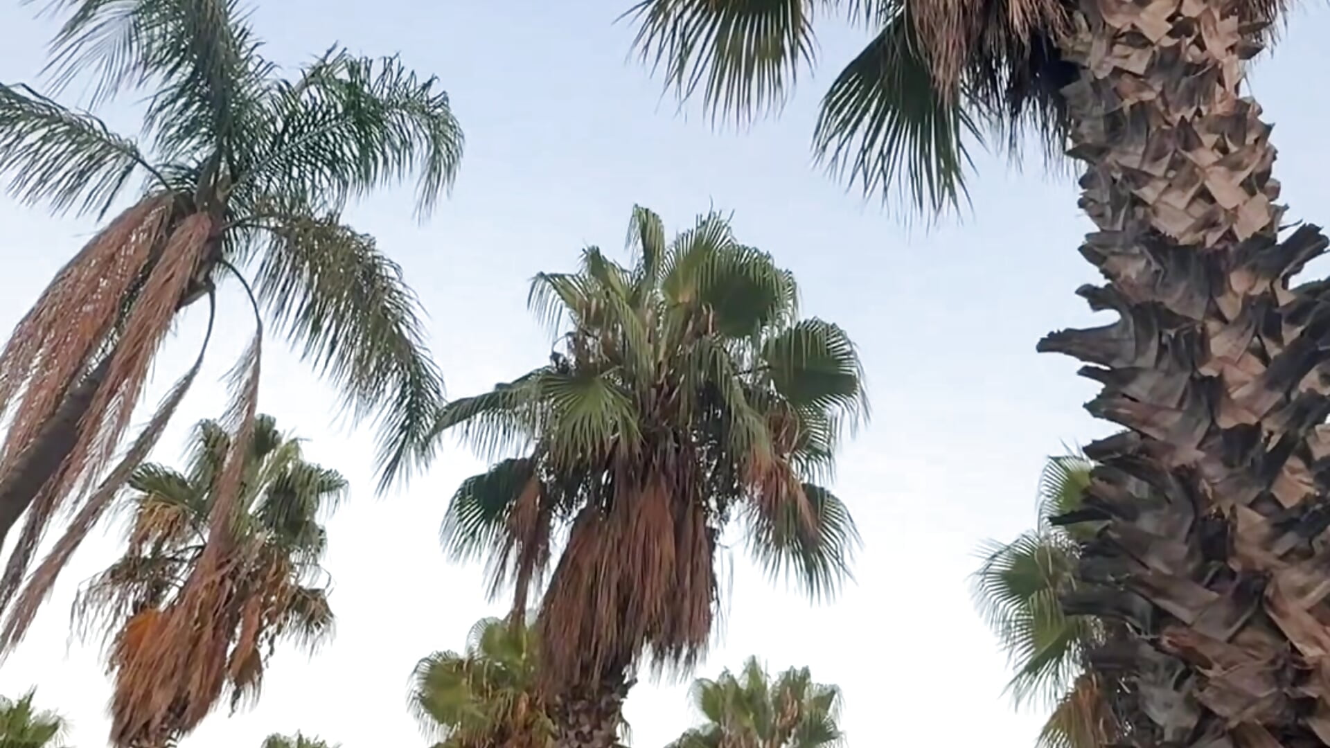 Do you like to lie in a hammock?🥰 - video di LittleFox___ modella di cam