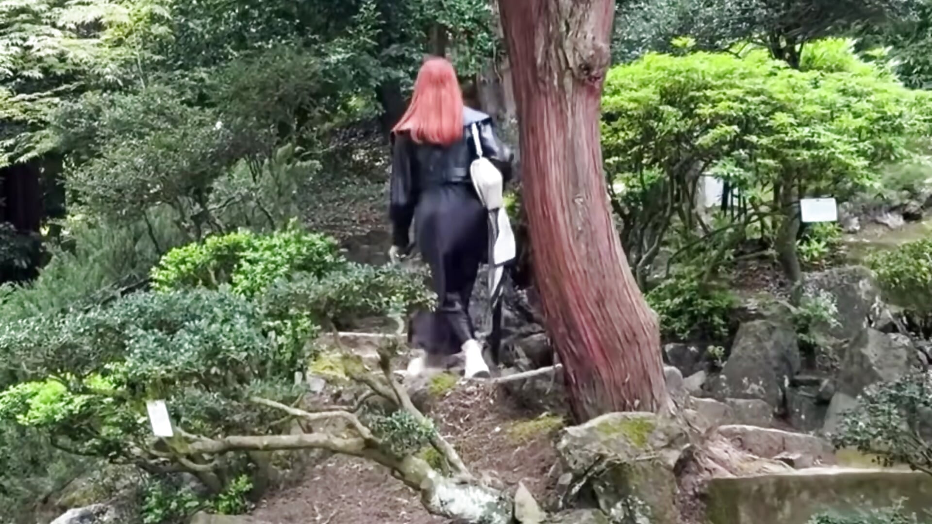 Japanese garden in Batumi - LittleFox___主播的视频