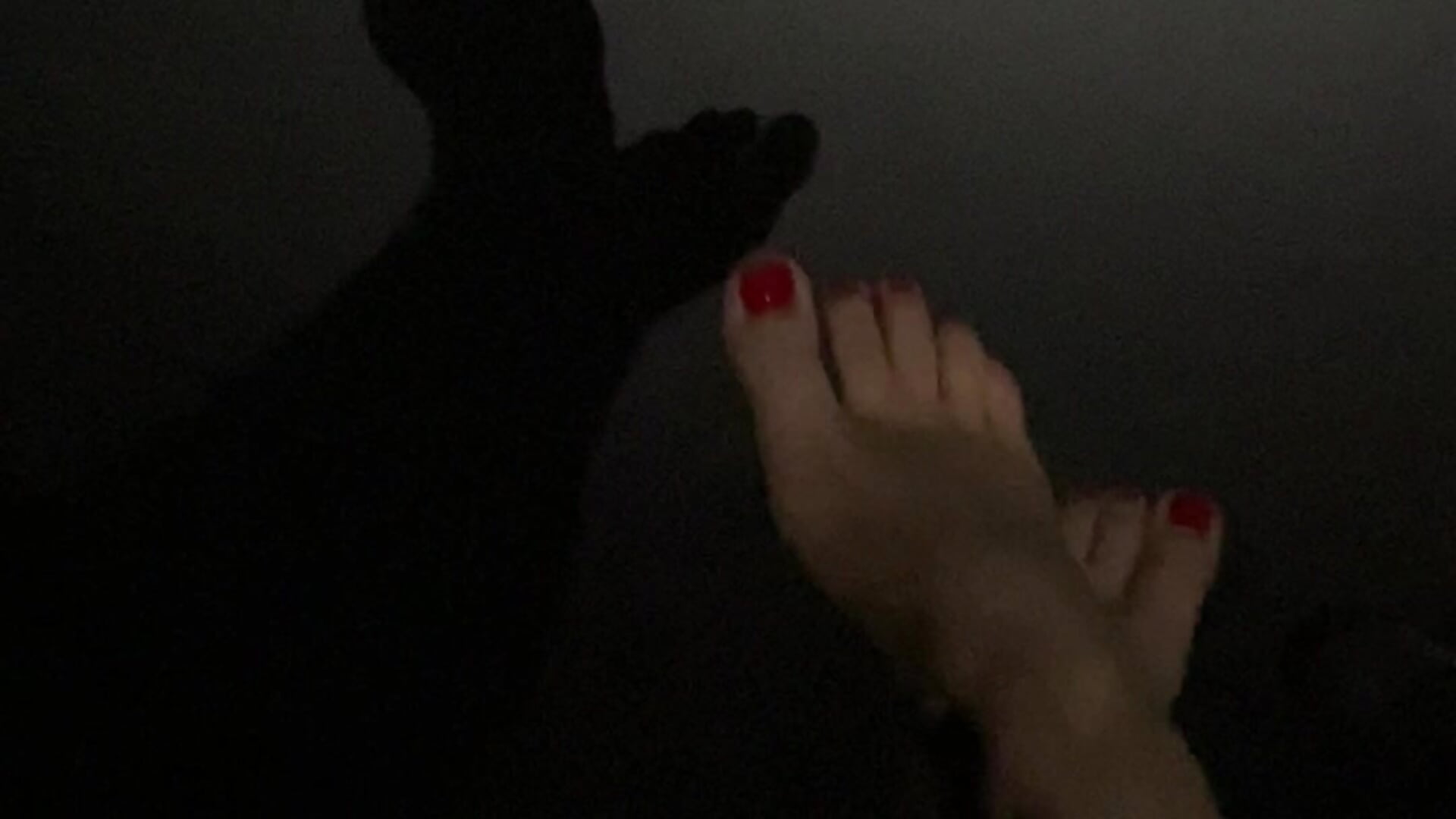 I tease my feet, shadow show😻