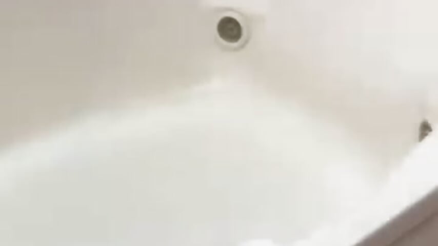 Tô esperando o seu QUERER rs - Vídeo de dinho_carioca, modelo de vídeos