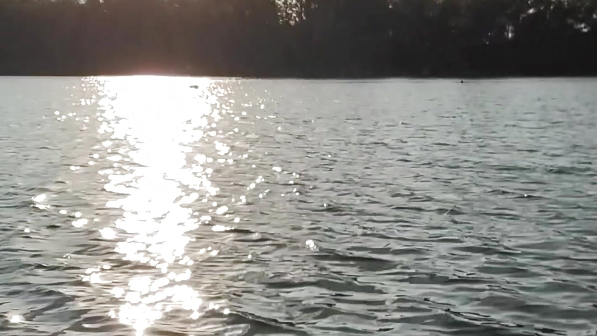 1000004476.mp4 - video by __Bonnie_and_Clyde_ cam model