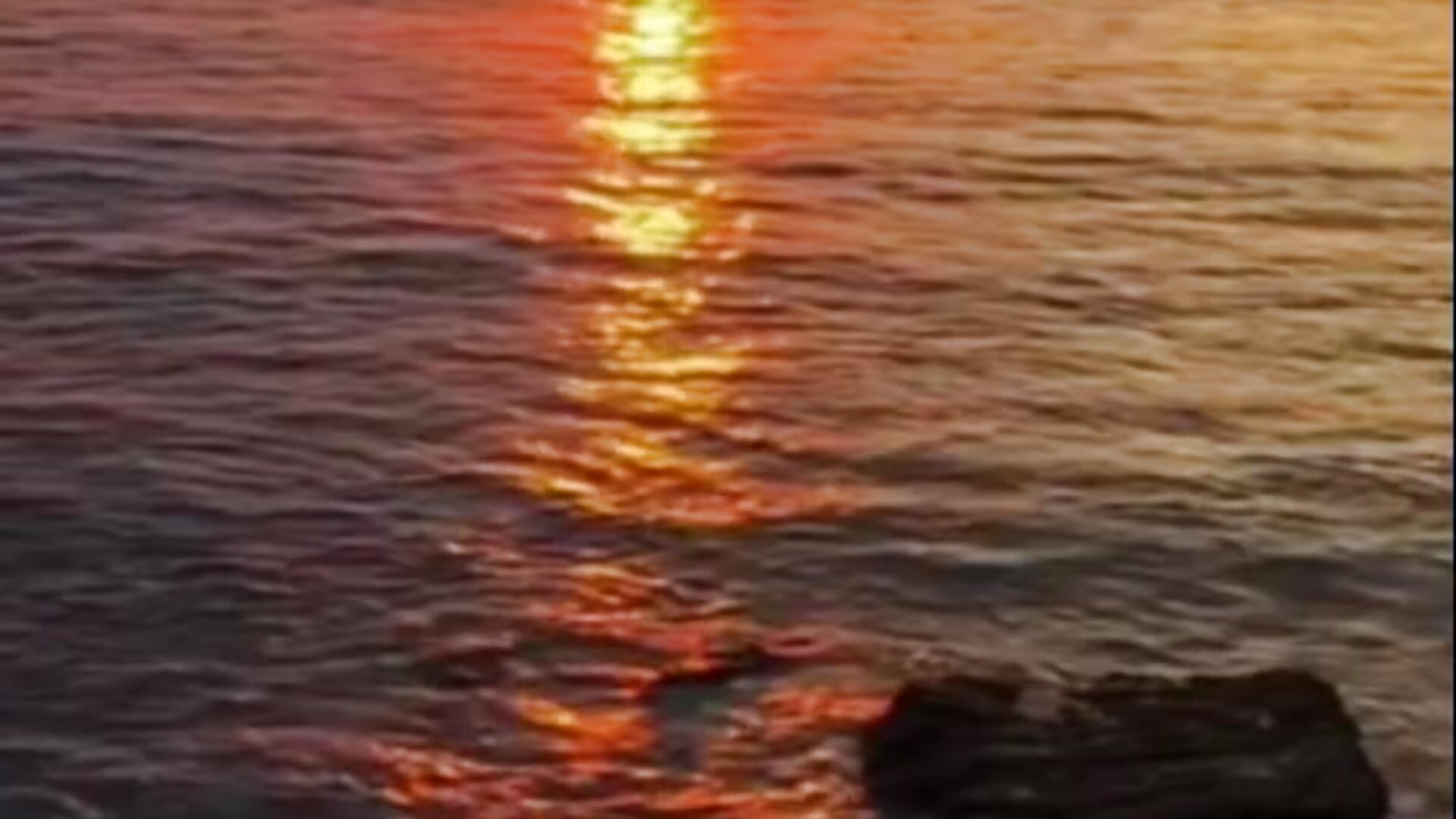 1000027630 - video di SkillfulNeoprene modella di cam