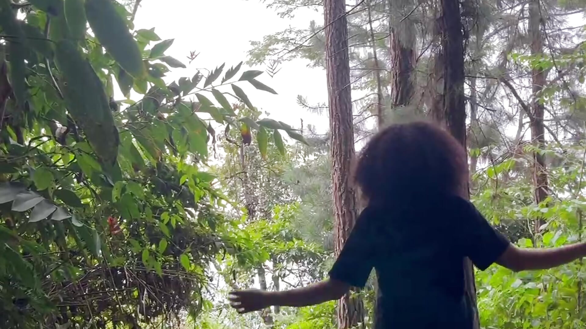 Barefoot feet and a recharged soul. This place is magnificent - video van AfroSalvaje cam-model