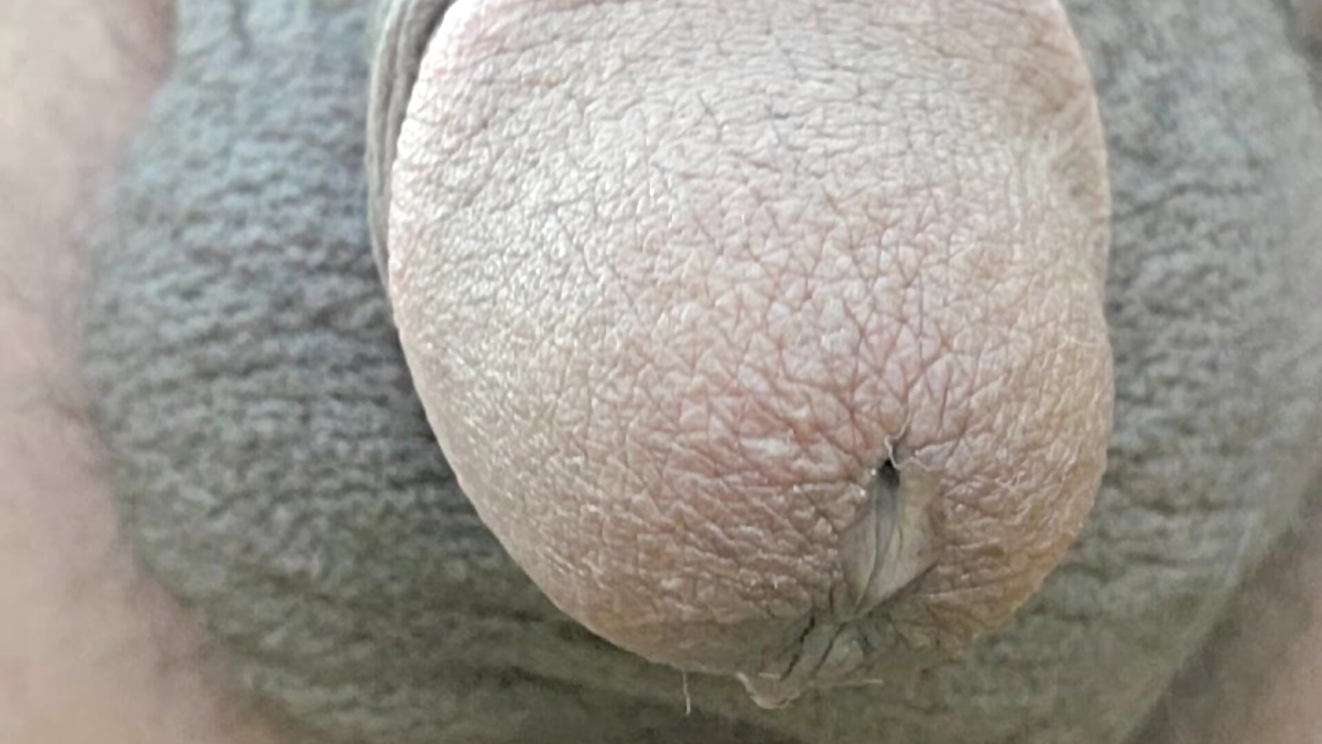 Cock close up with pre cum - clip cu BindaasBong model videochat
