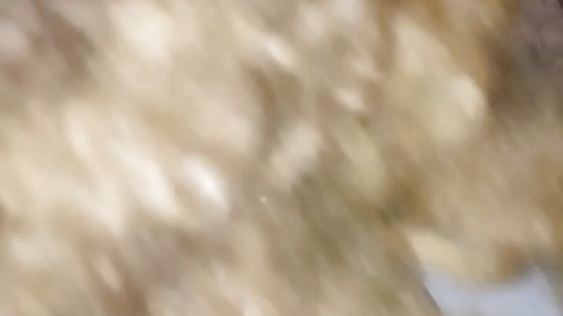 Mmmh🍑🍆😛 - video by flaggingxxbanana cam model