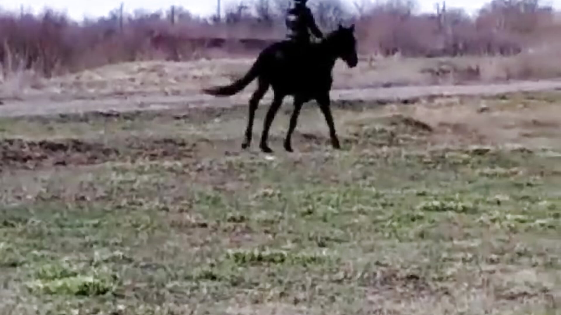 I ride you - video by Lori_Clark_ cam model