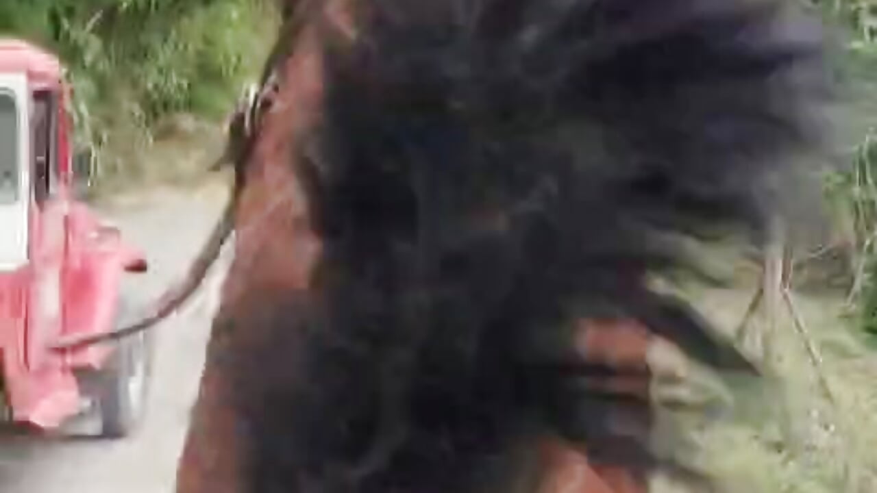 🙈🏇 - video di Kitty_Melodi modella di cam