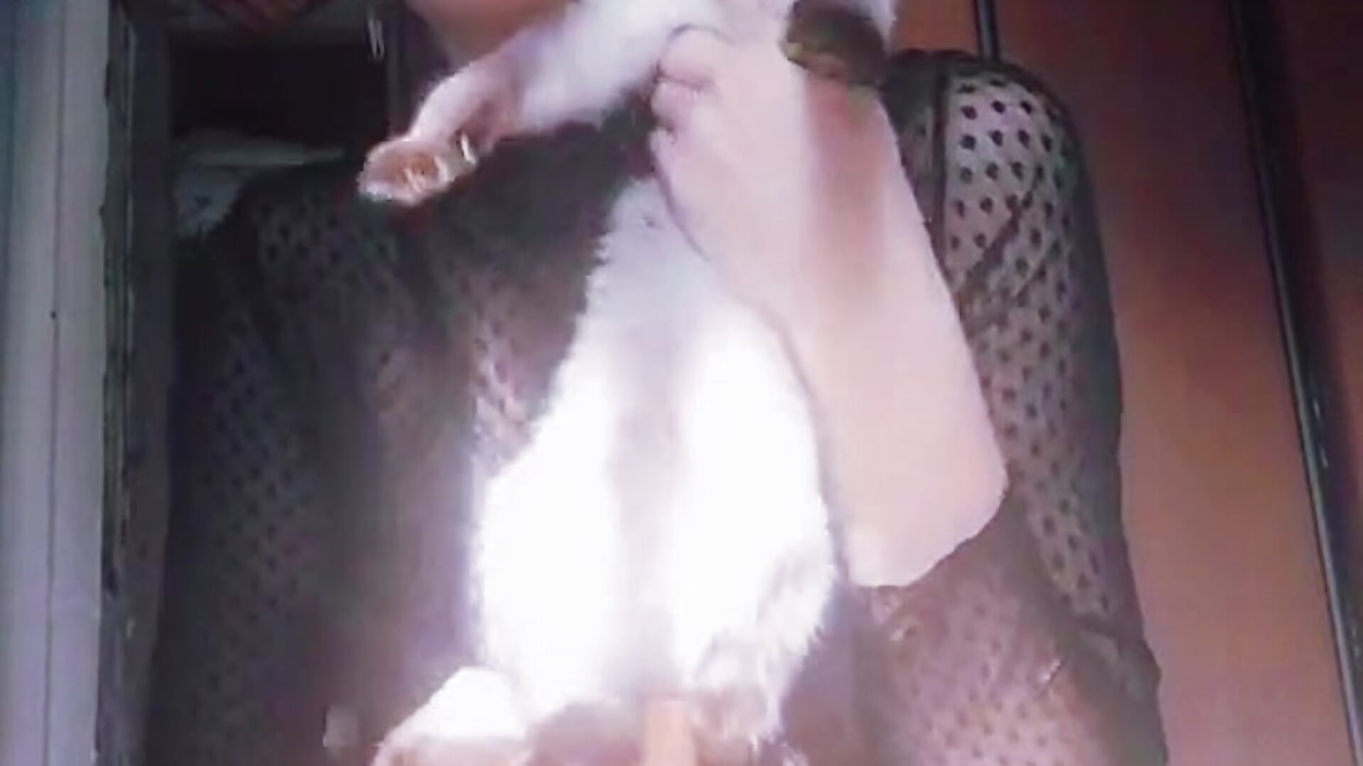 My sweet kitty 😋 - video by ChaeTrier cam model