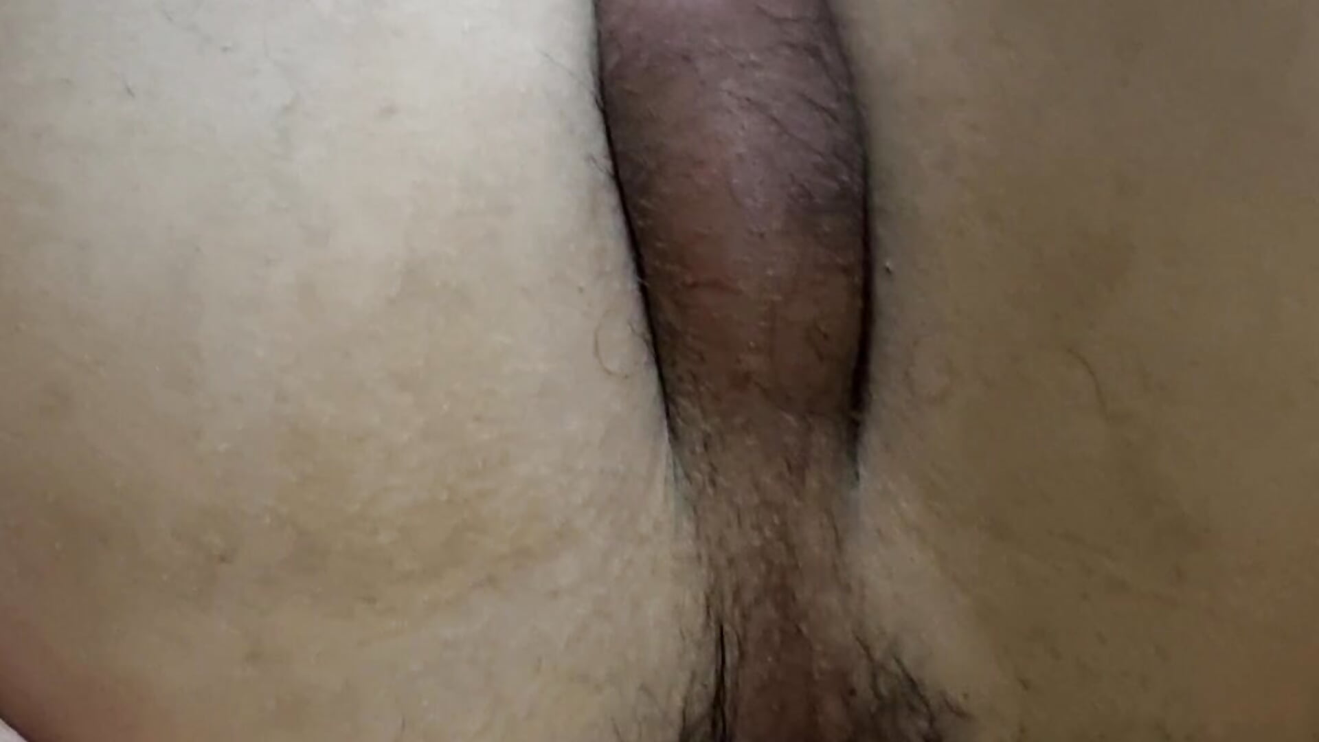 1000028886 - video by hornyjoe_xxx cam model