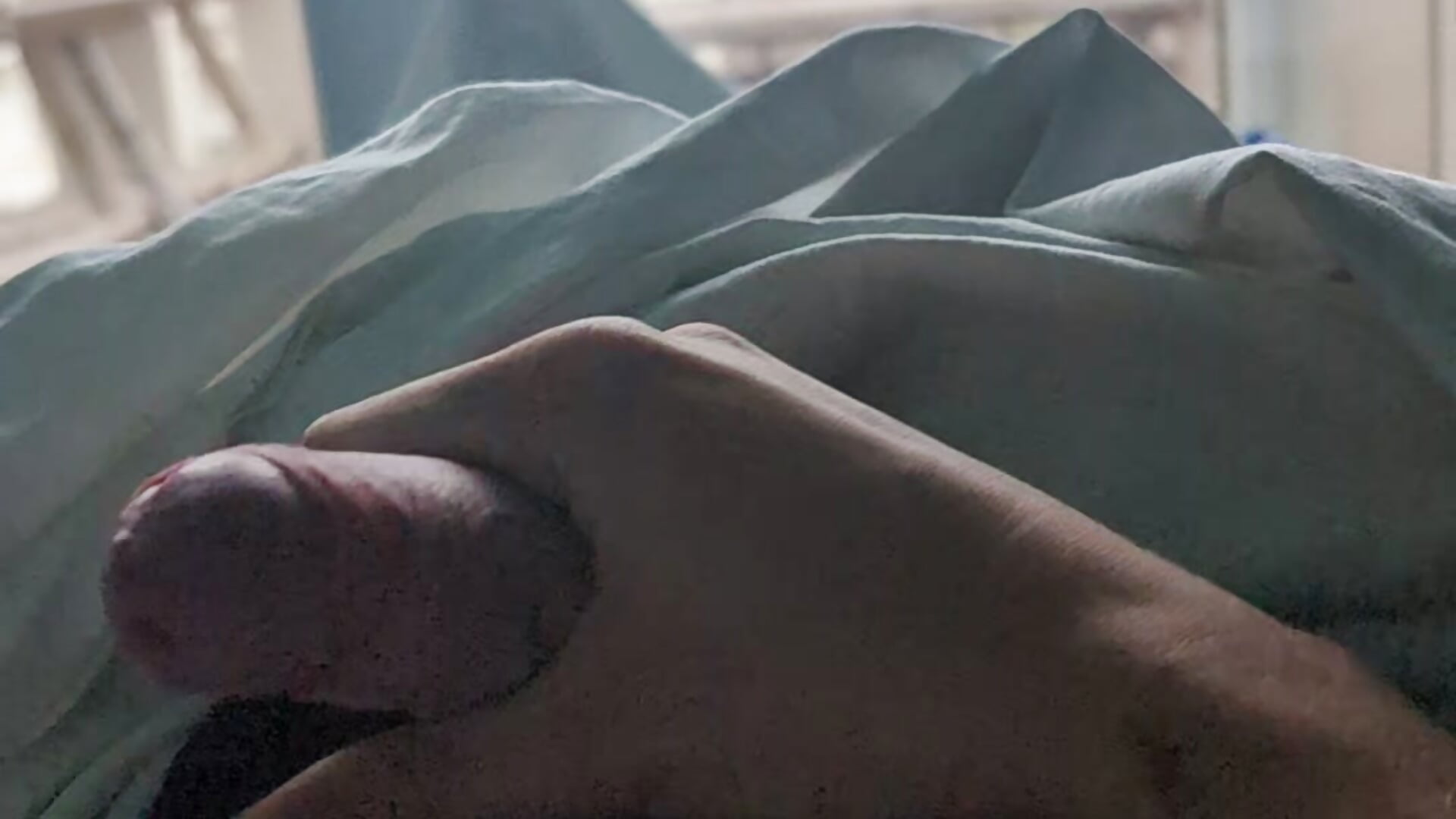 Morning wood - video by thelion0508 cam model