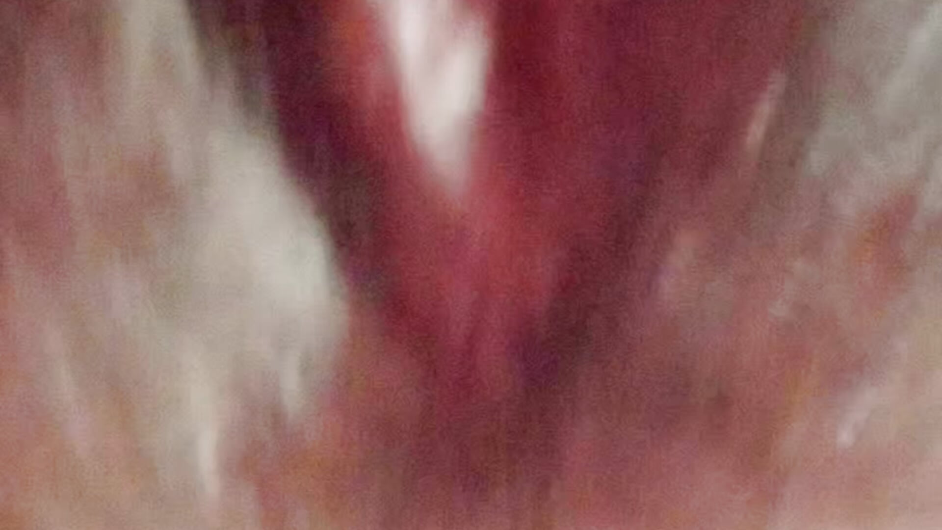 Me follo el dildo - Video von Ebtessamcachonda Cam-Model