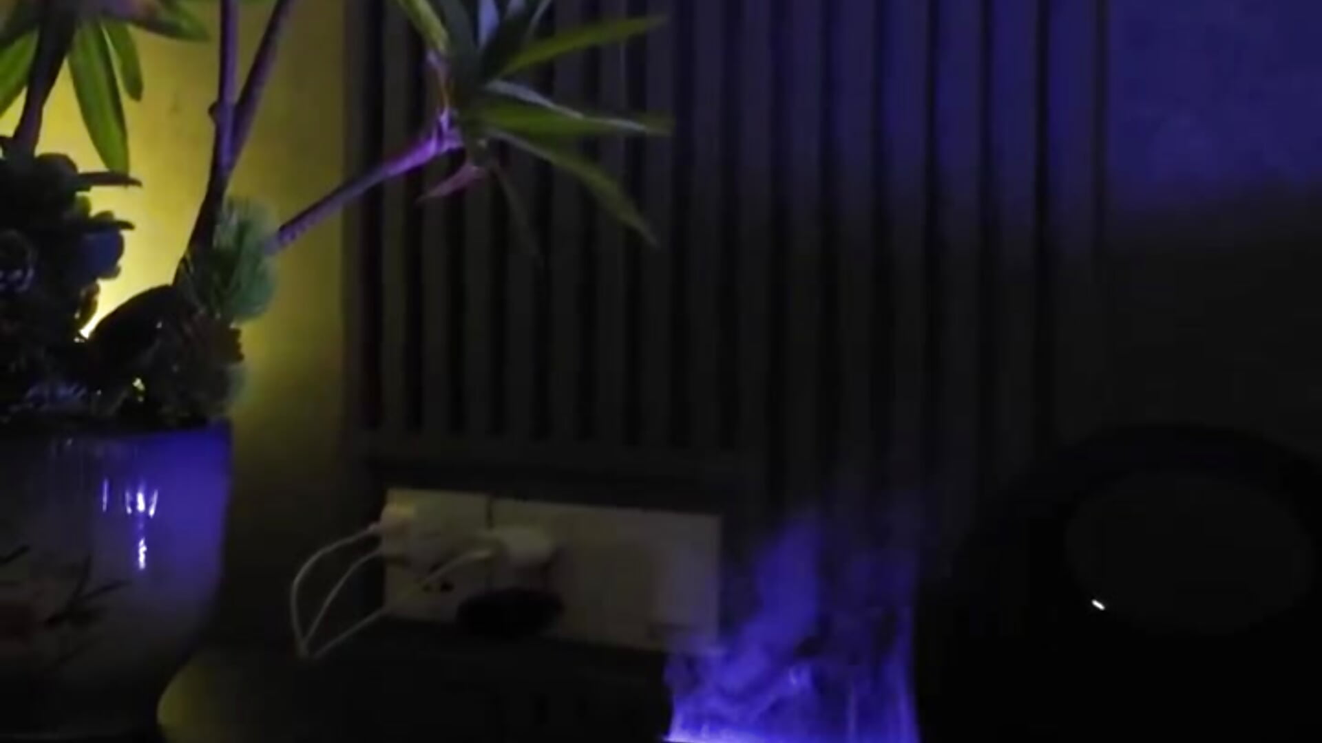 love it - video by ShinnaBee cam model