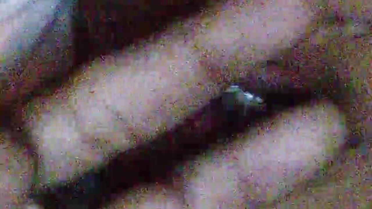 profile-intro-video-1756524376－カメラキャストのBebicho14の動画