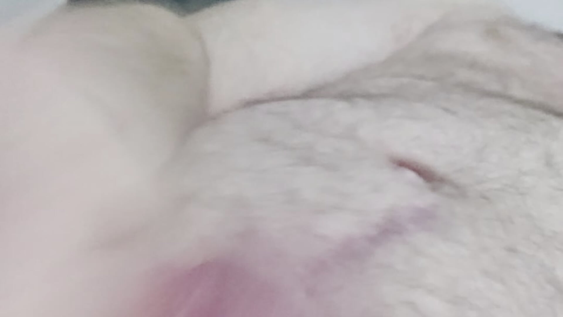 Cumfest
