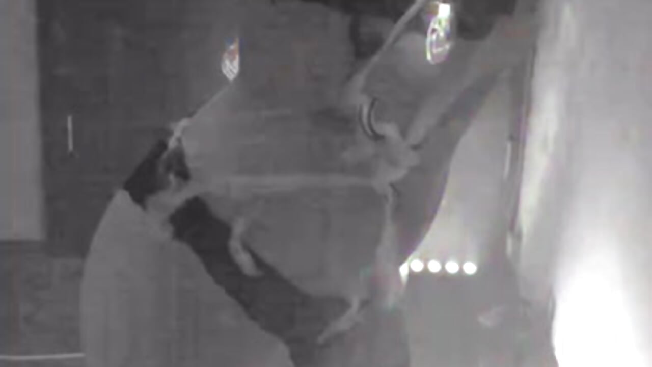 Happy Halloween, boys! - 視頻由 Amore_Mia_ 主播提供