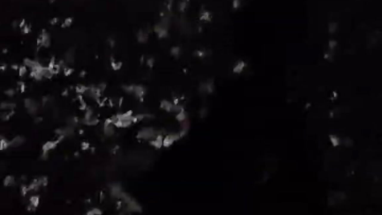 1000017431 - video av easygoingpeeps cam-modell