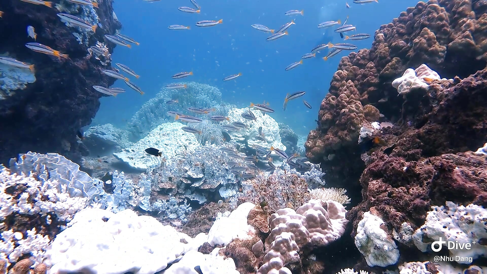 feeel free - video by KimberlyLin cam model