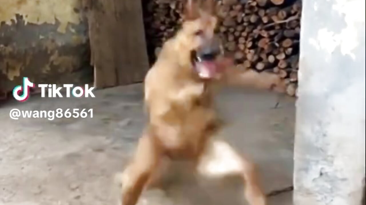 1000007167 - βίντεο μοντέλου 11quan11