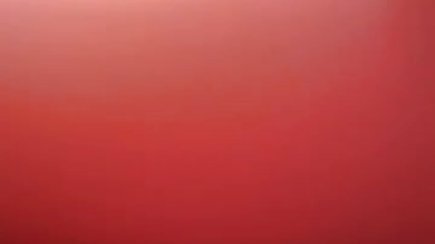 81057028887__2CECF32E-89B9-43E7-91F3-DB1F75C50B4D
