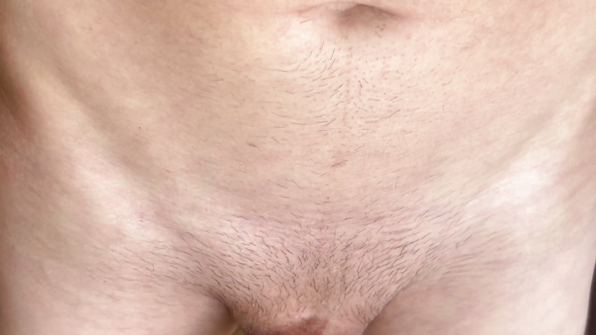 Penis