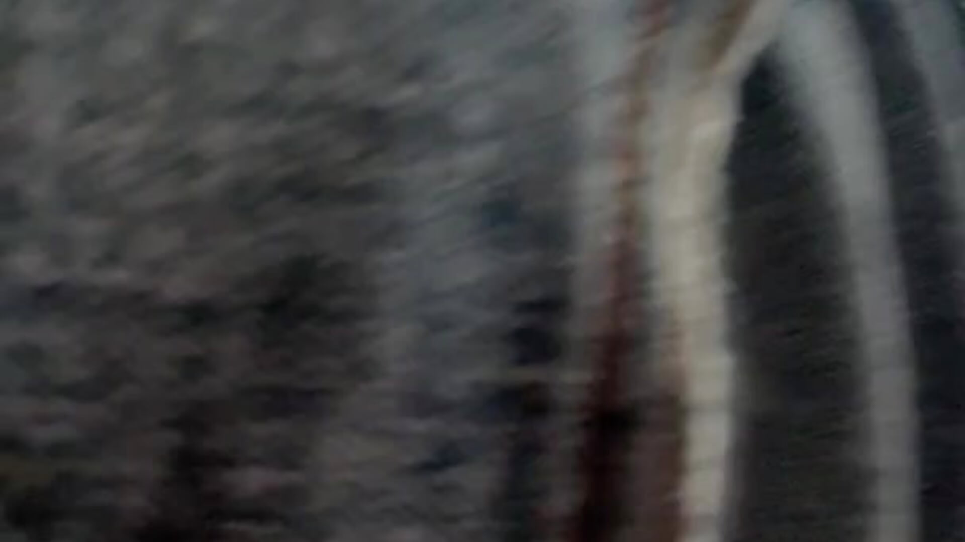 Non-nude - video by DILFiGuess1 cam model