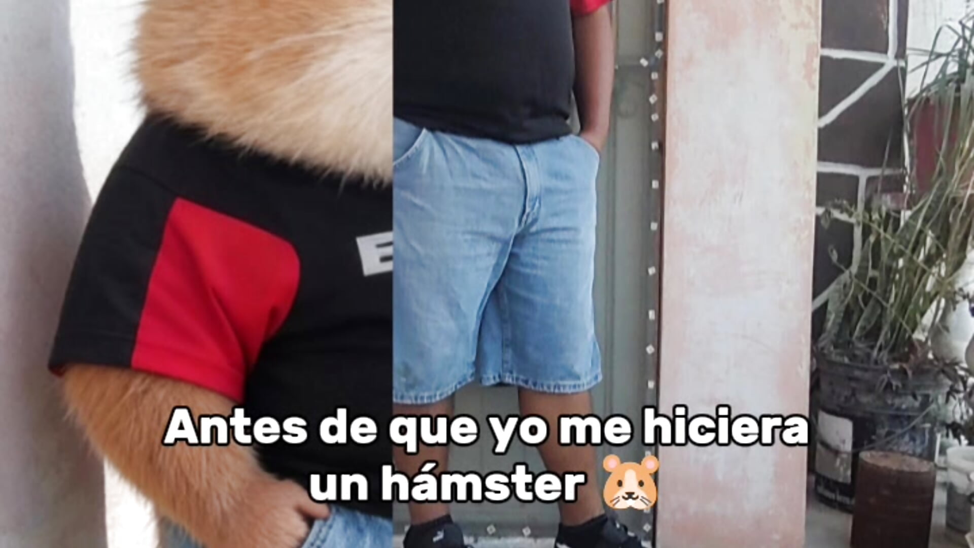 2026-01-11-221333925 - βίντεο μοντέλου Angel-hot21