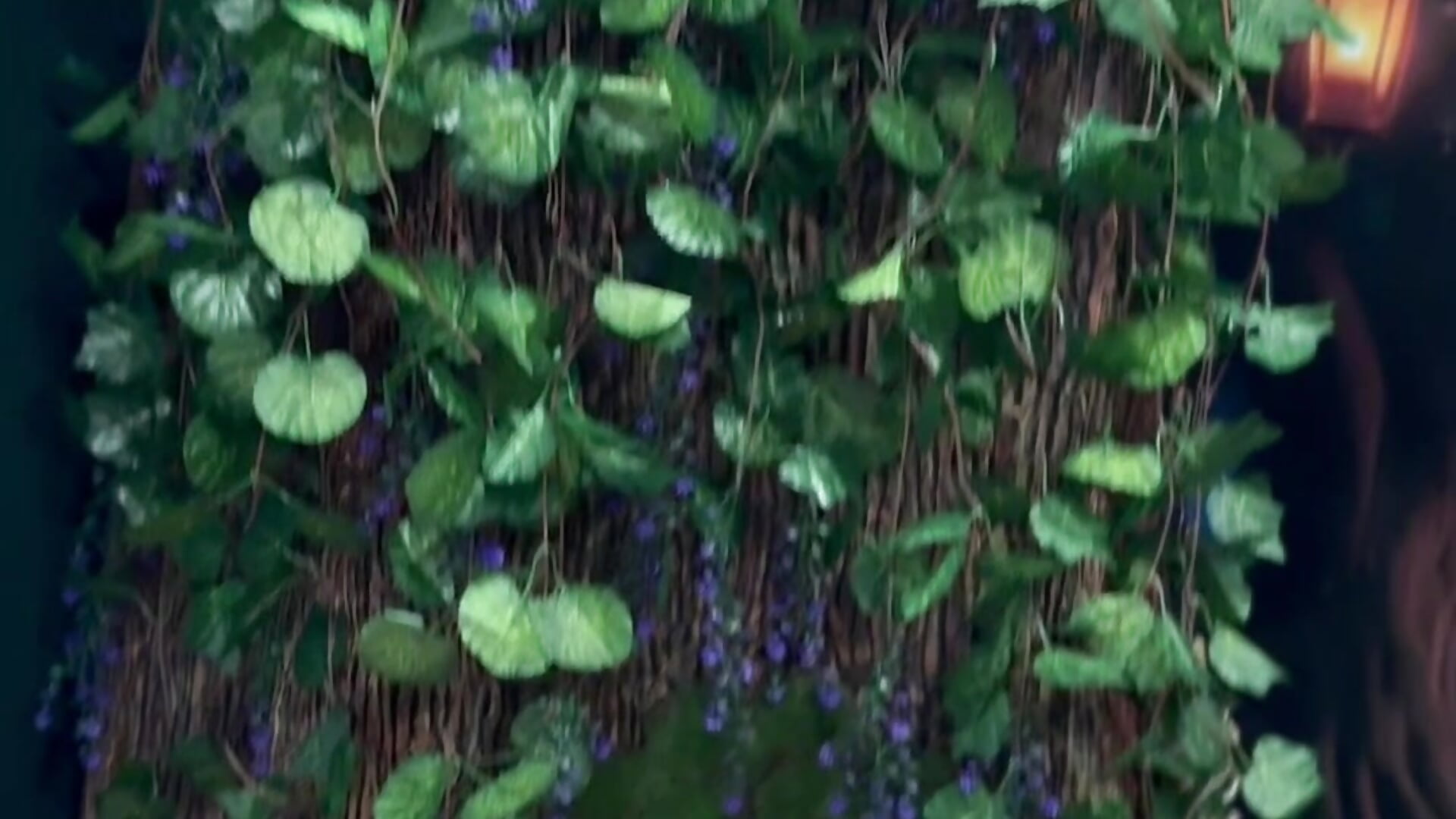 🌳Tree🌳 - video by eliz_gallen cam model