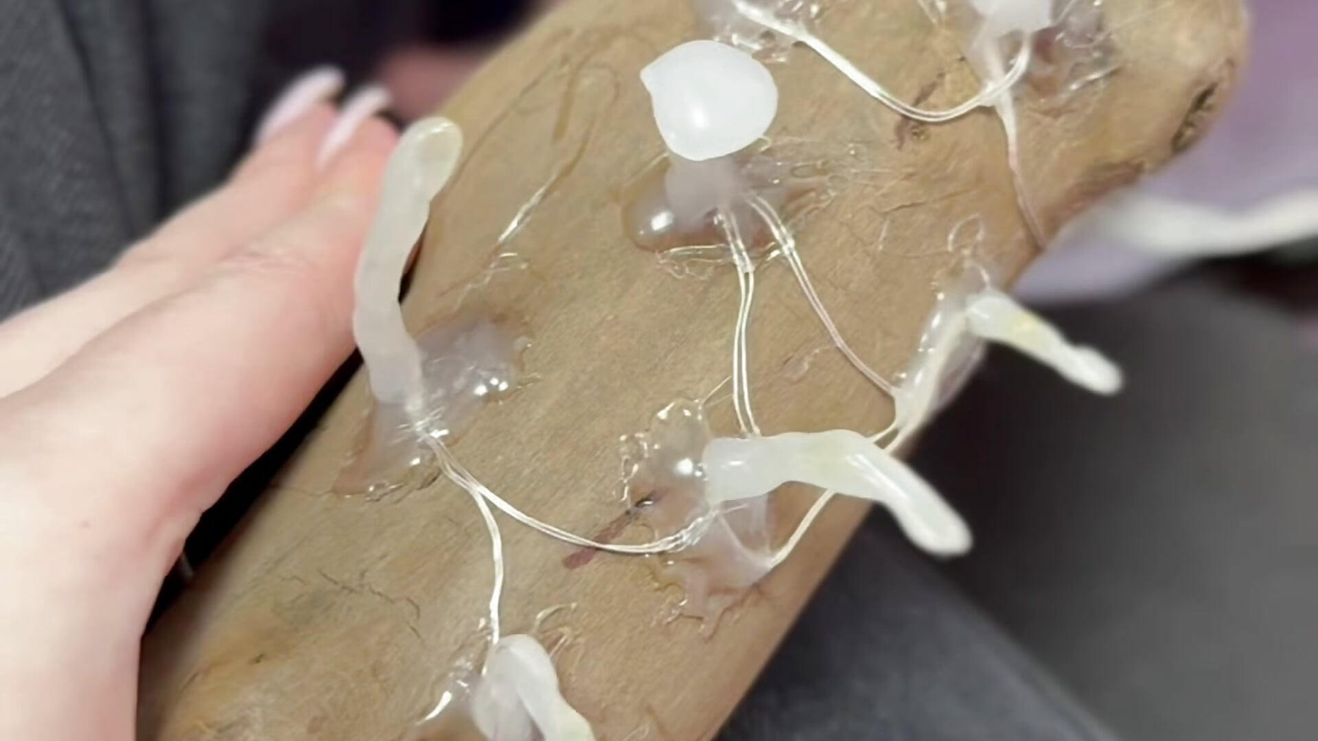 🪵Log🪵 - video by eliz_gallen cam model