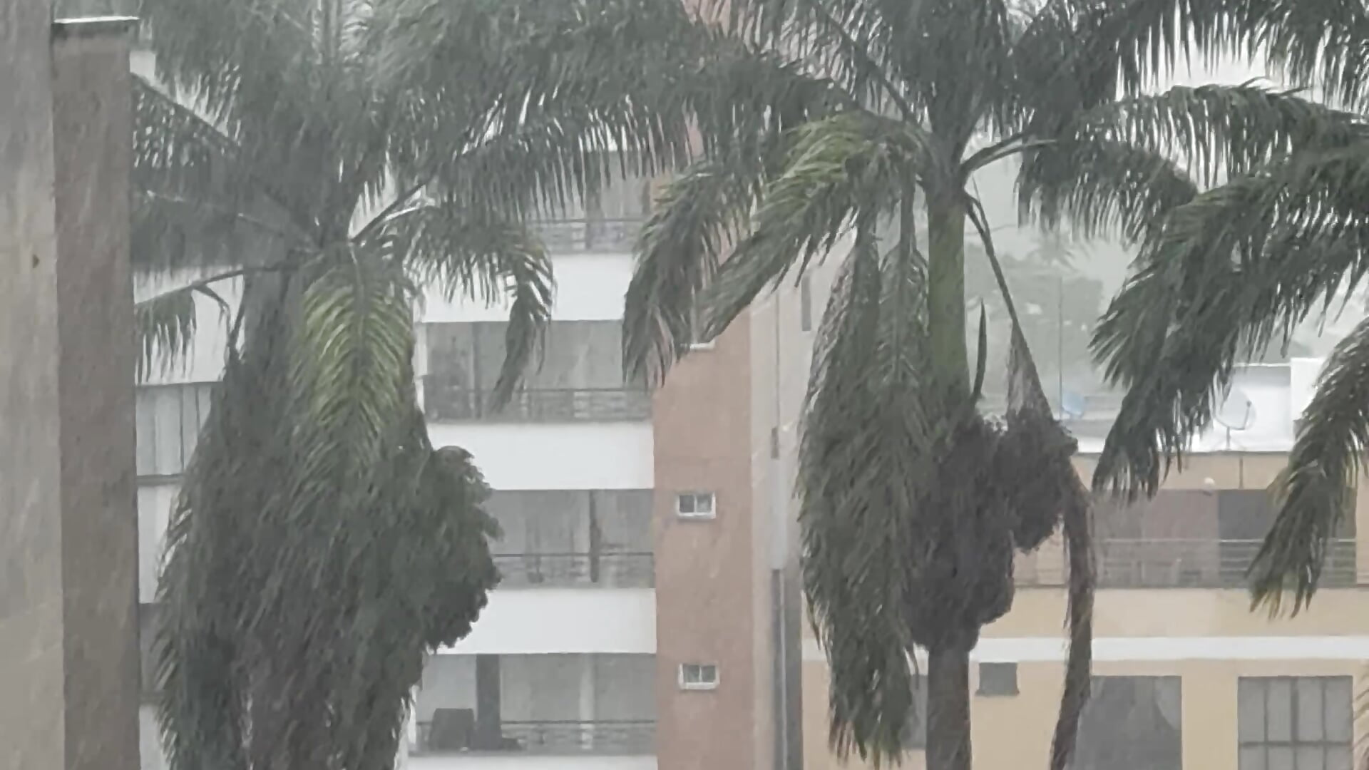 There is heavy rain. - GinebraBrown adlı kamera modelinin videosu
