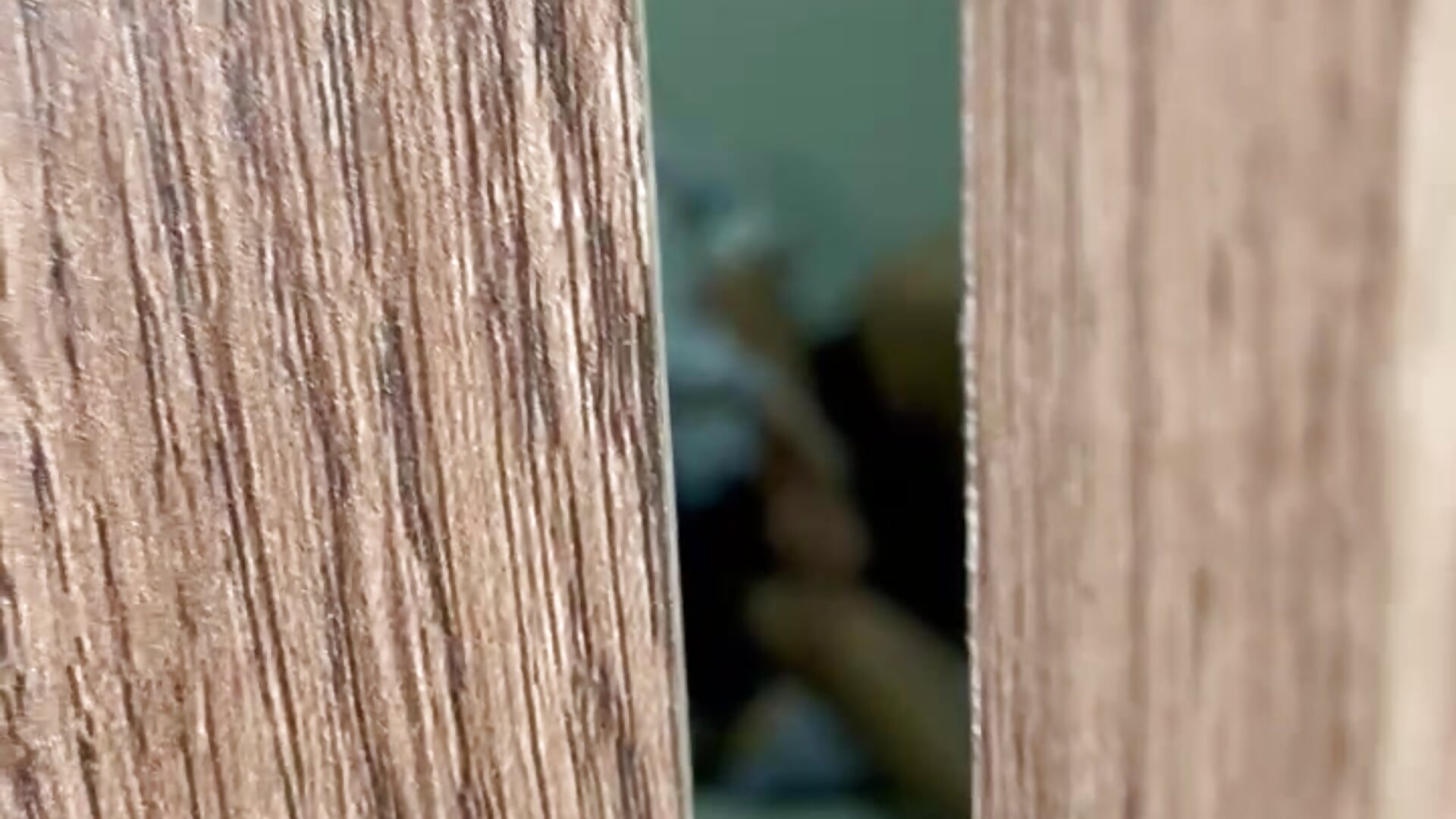 Join us today 🔥 - video by Aaron_and_chris cam model