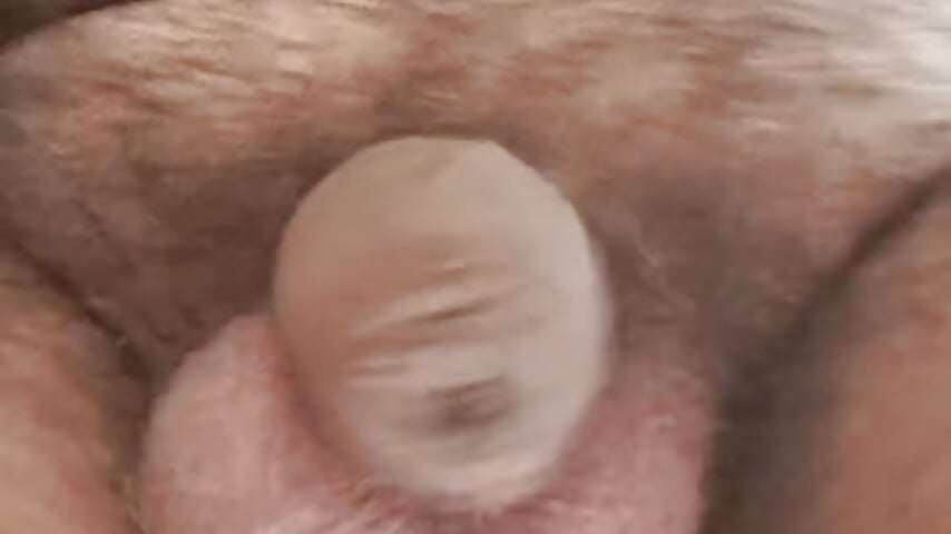 1000041384 - video by delfi6 cam model