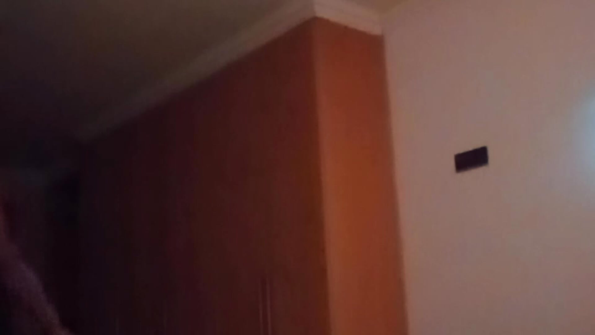 1000024377 - video by Sultry_Pet cam model