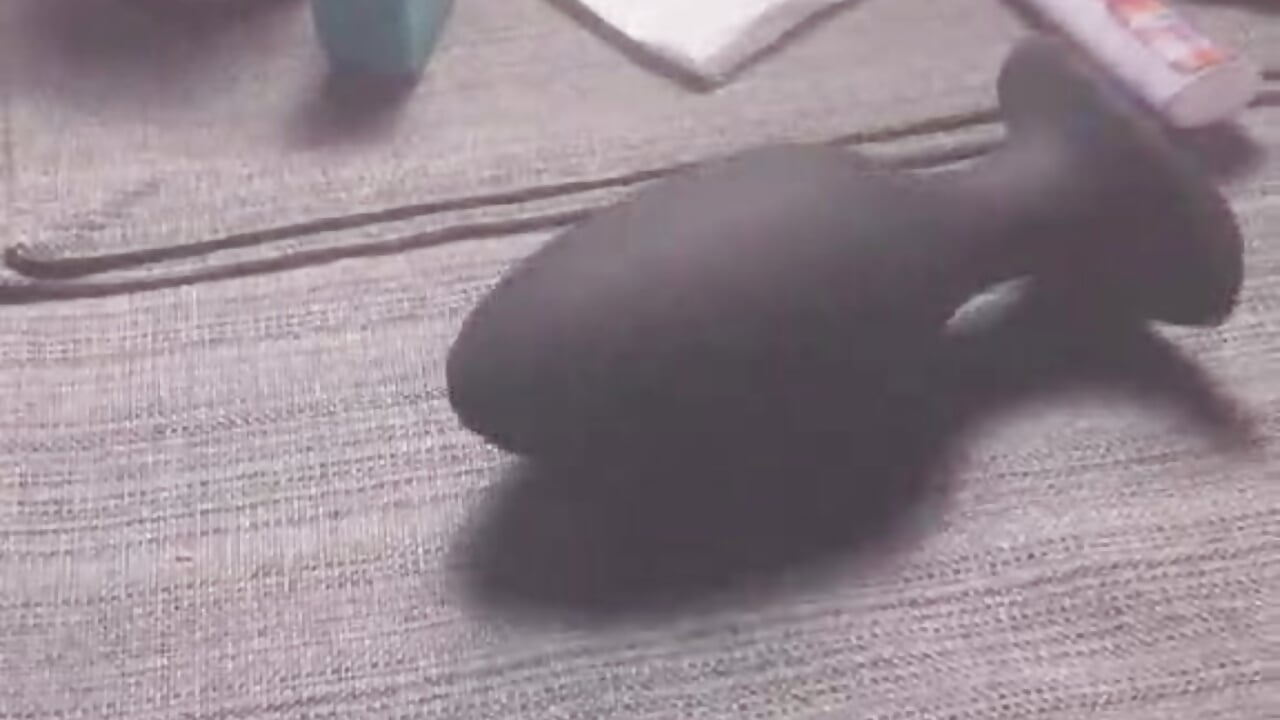 I don't understand why my plug make me feel that much - Ardokks adlı kamera modelinin videosu