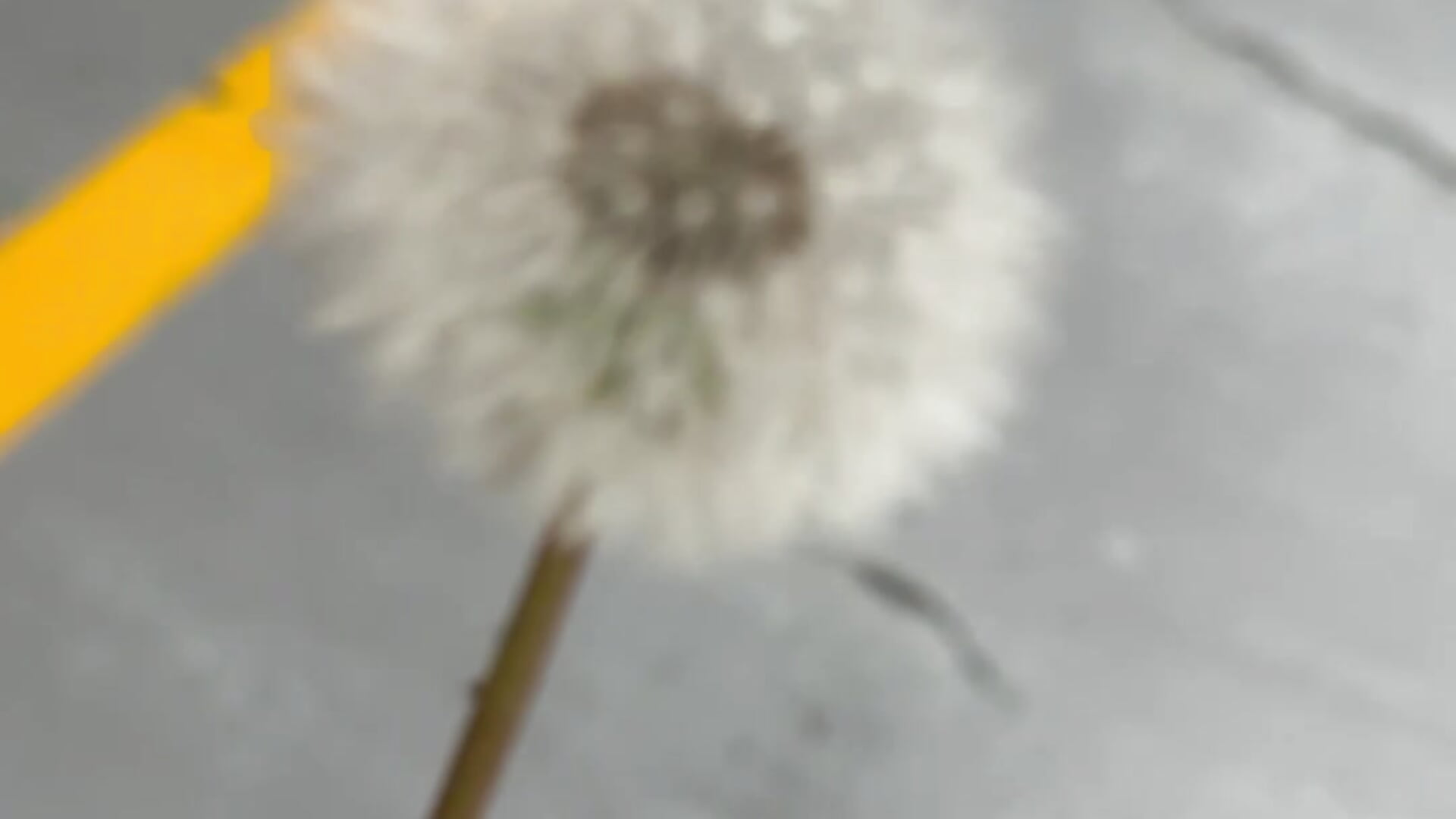 이거 다 불면 로또1등이였는데 나가리데스 - soonilove_主播的视频