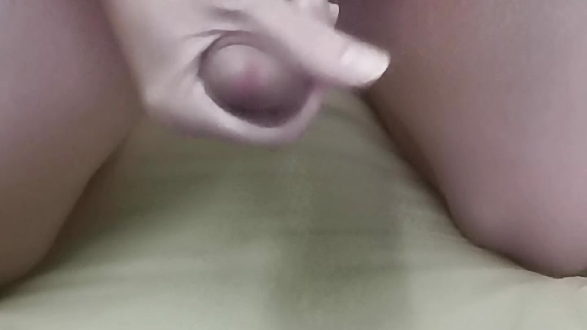 VID_20250904_083142 - video by Murraya100725 cam model