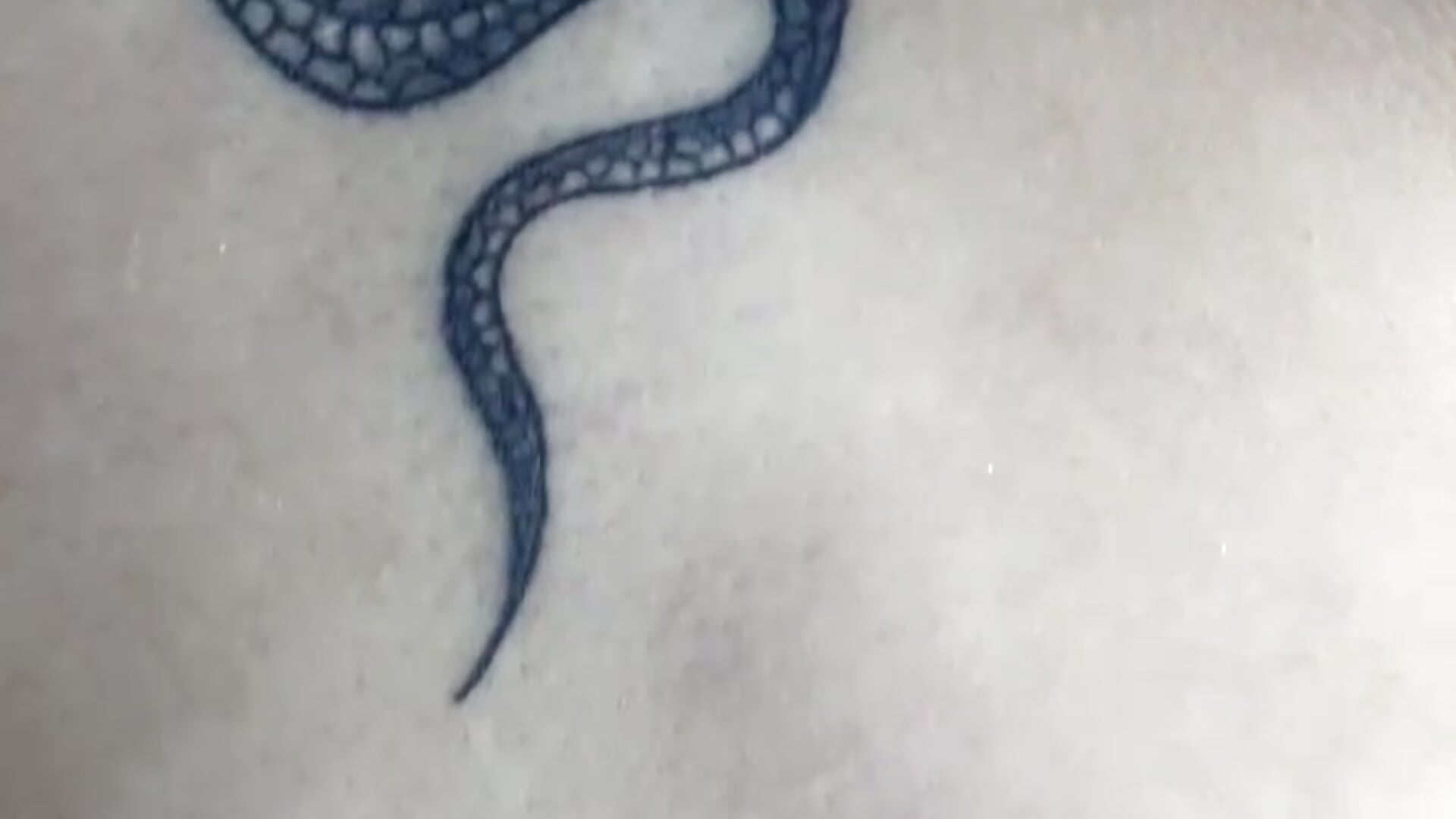 Video - Video von violet_77711 Cam-Model