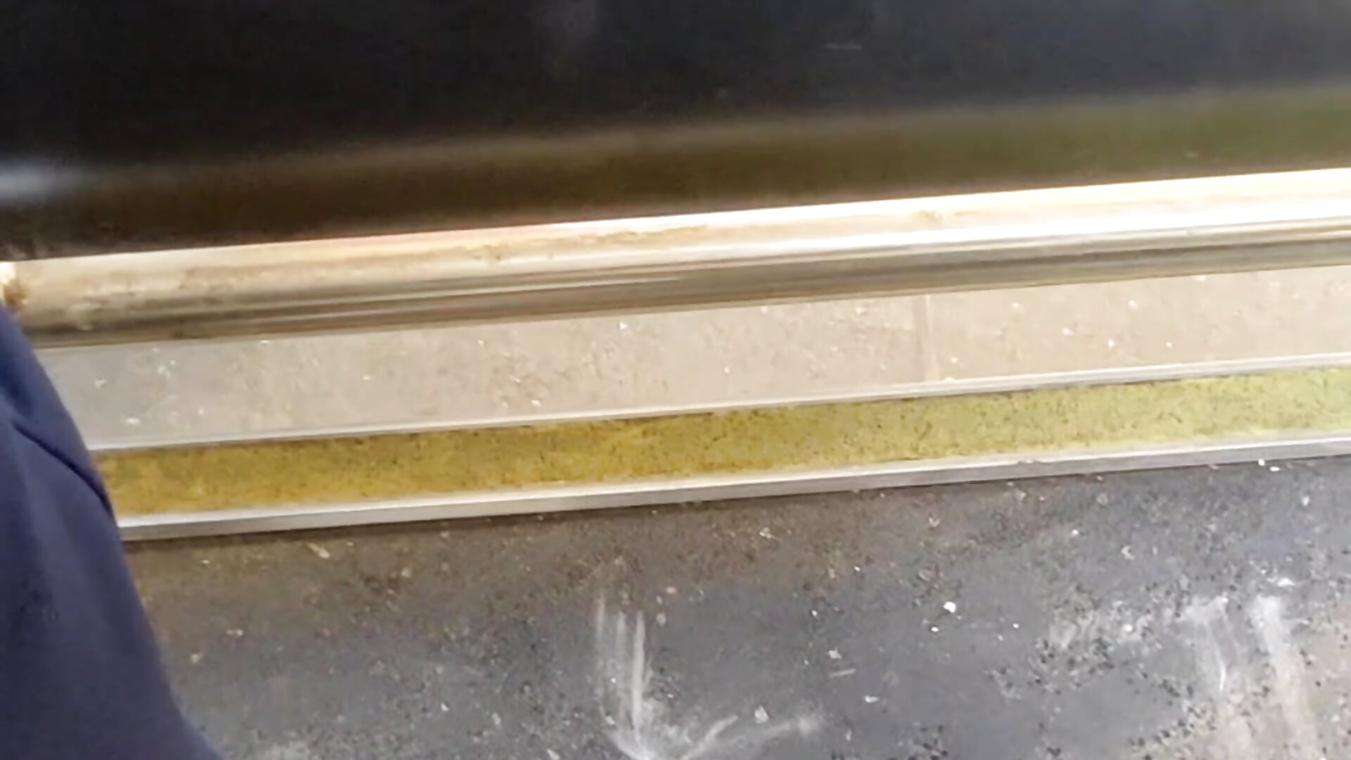 Test video on bus - Video von jin_k Cam-Model