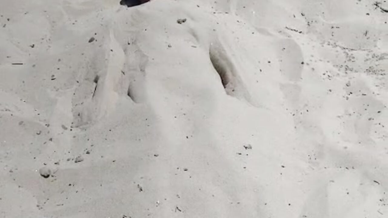 Fun times. Can you do it? - video by Charm_Flower cam model