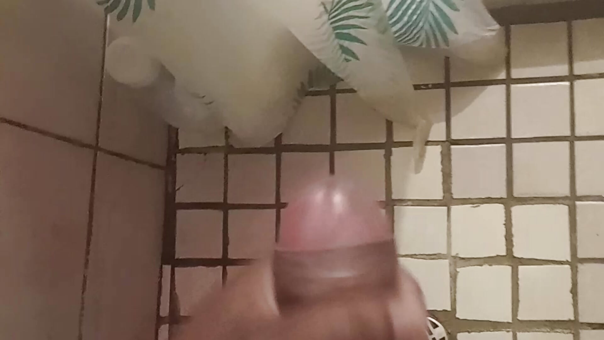 Milk 🥛