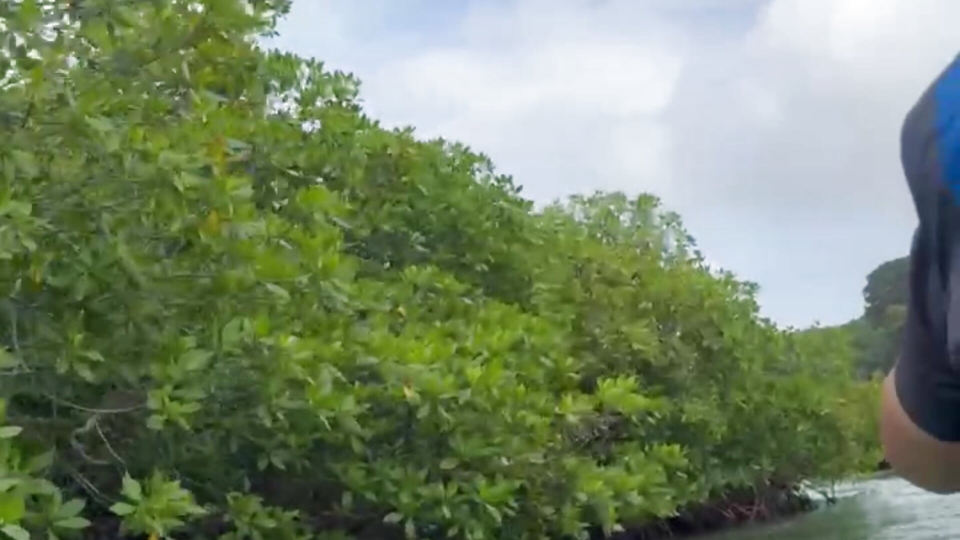 Beautiful scenery.💚🍃 - Catalina-Malave adlı kamera modelinin videosu