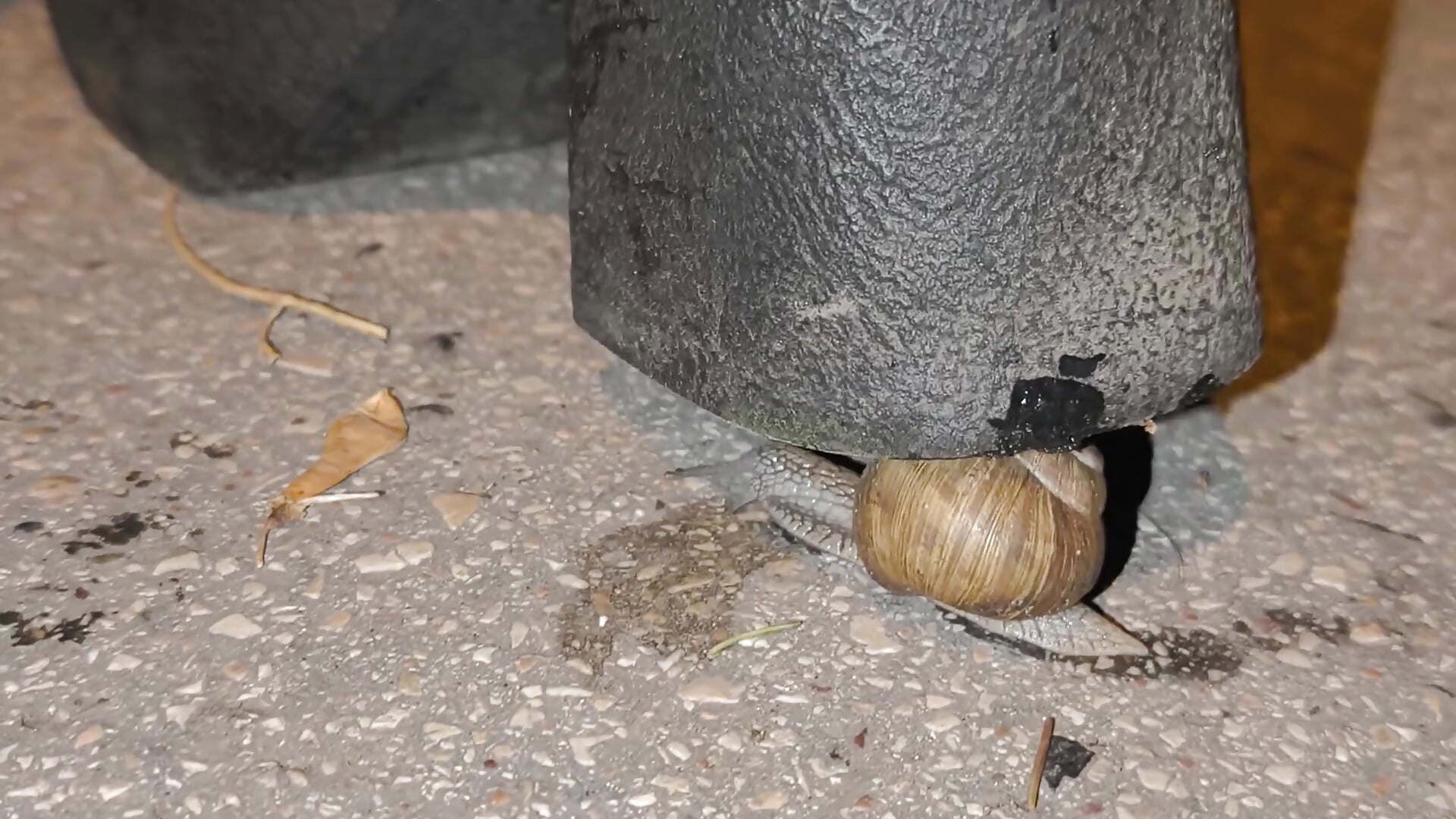 Snails New Boots - video by CruelSiren cam model