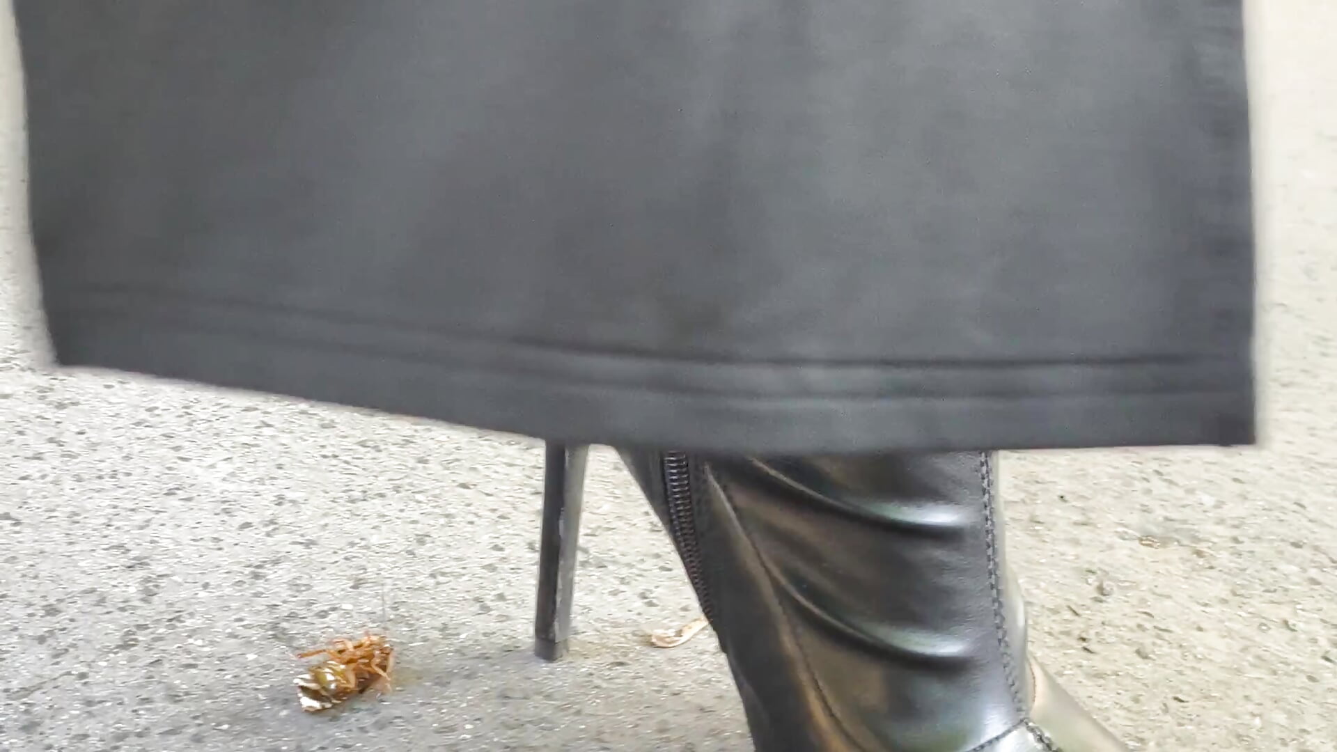 Cockroach Crush High Heel Boots - video by CruelSiren cam model