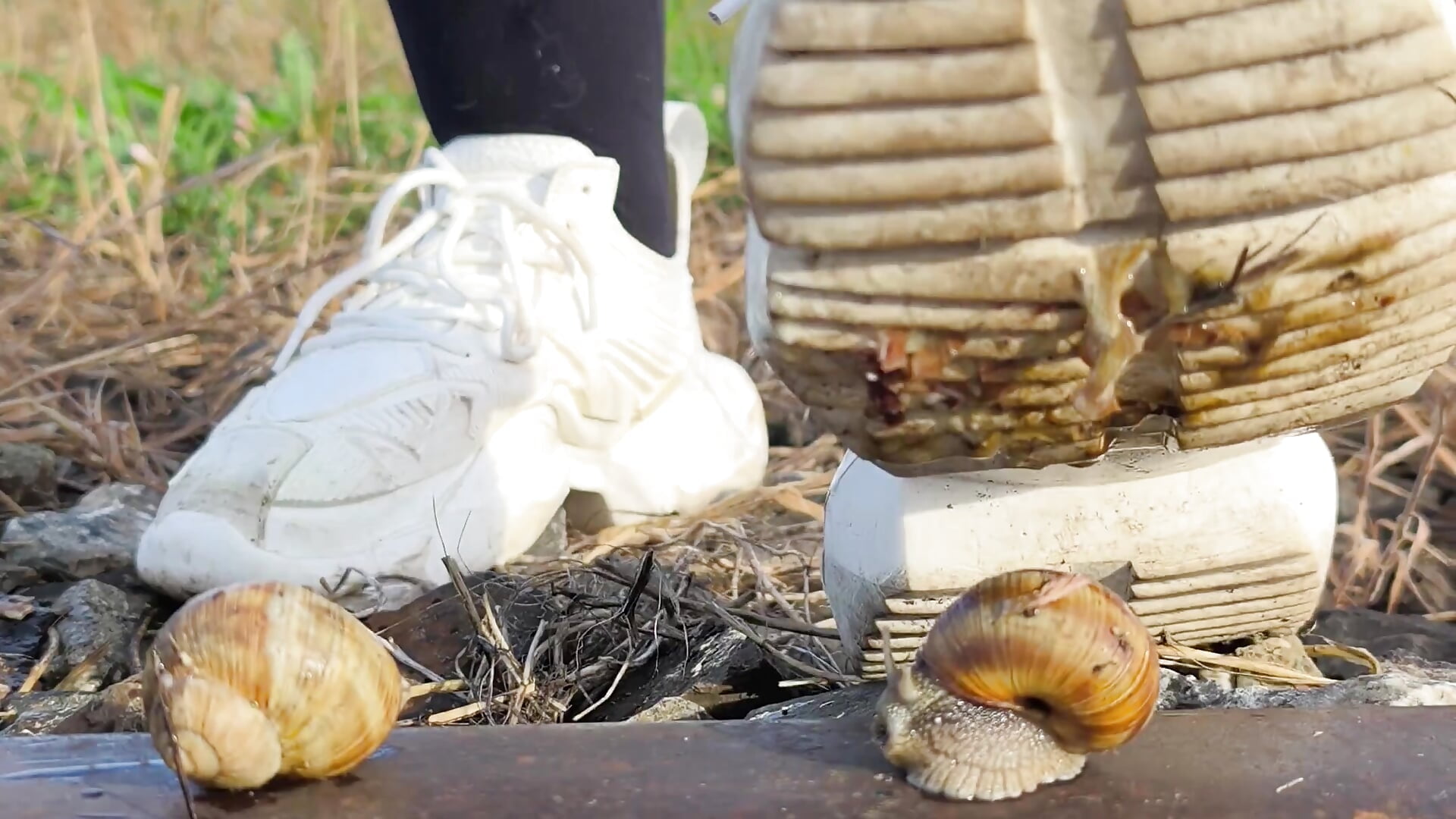 Snail Crushing with White Sneaker - video by CruelSiren cam model
