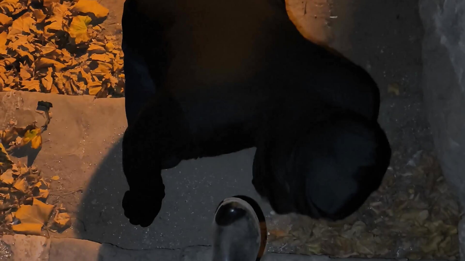 Boot Licking Loser - video by CruelSiren cam model