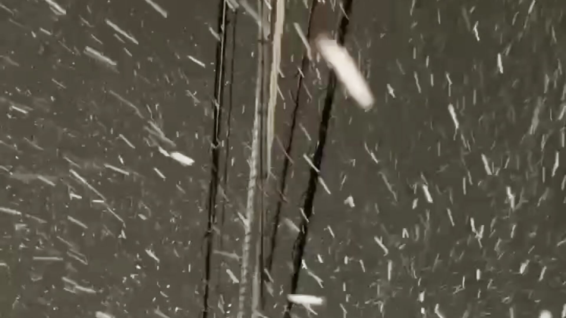 c02bd97f892642959083449877643cb4 - 893JPmafia 캠 모델의 동영상