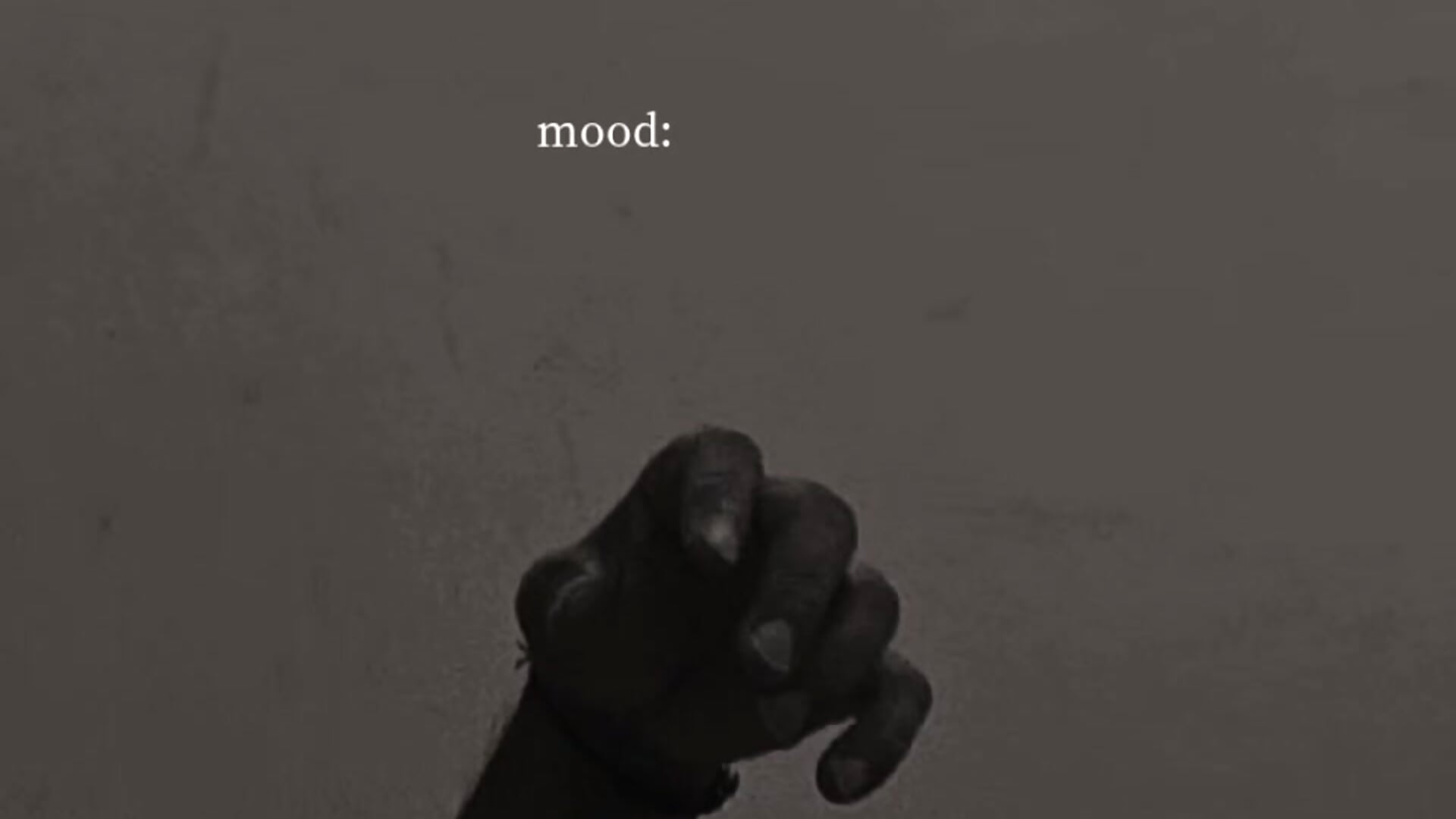 1000107097－カメラキャストのritweshの動画