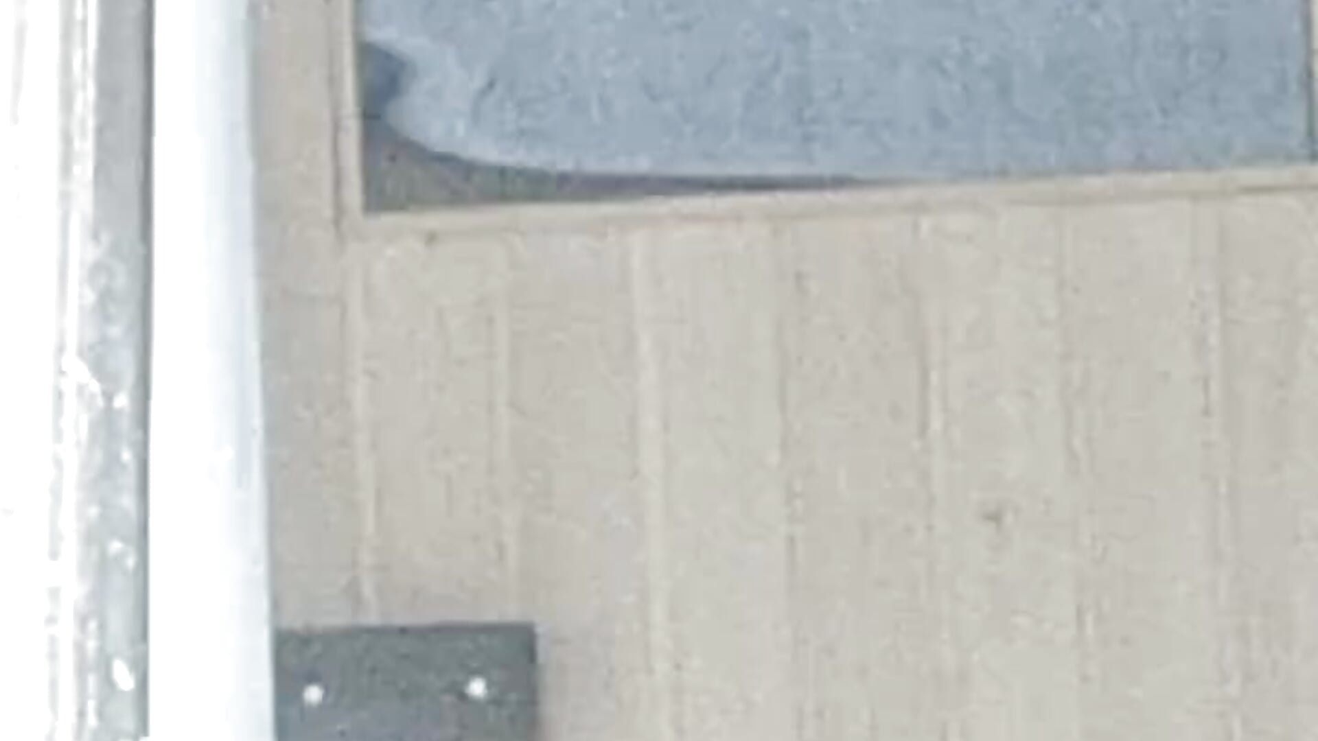 1000000290 - video by Rubenemil25 cam model