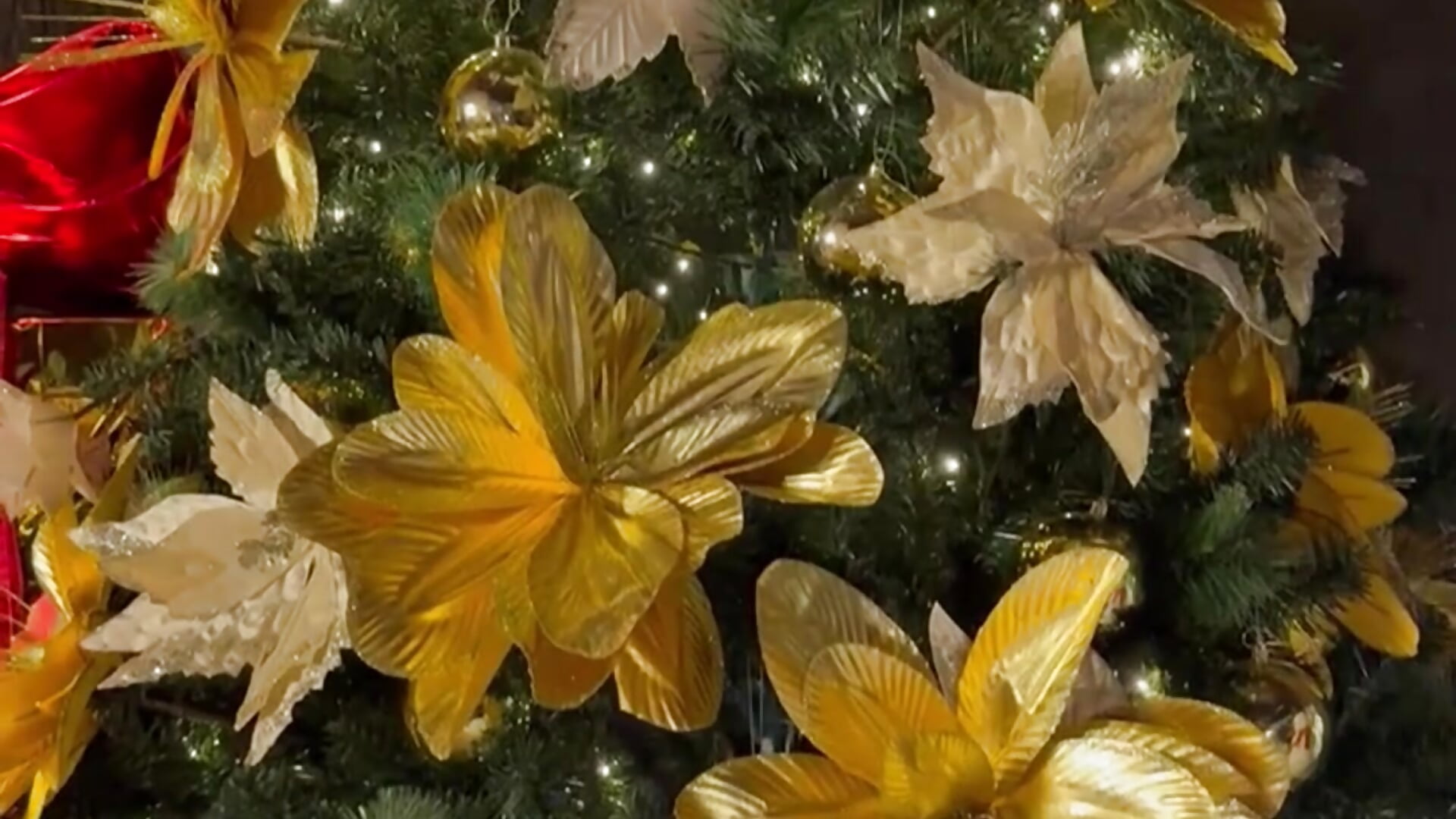 🎄 - video by emma_cleir cam model