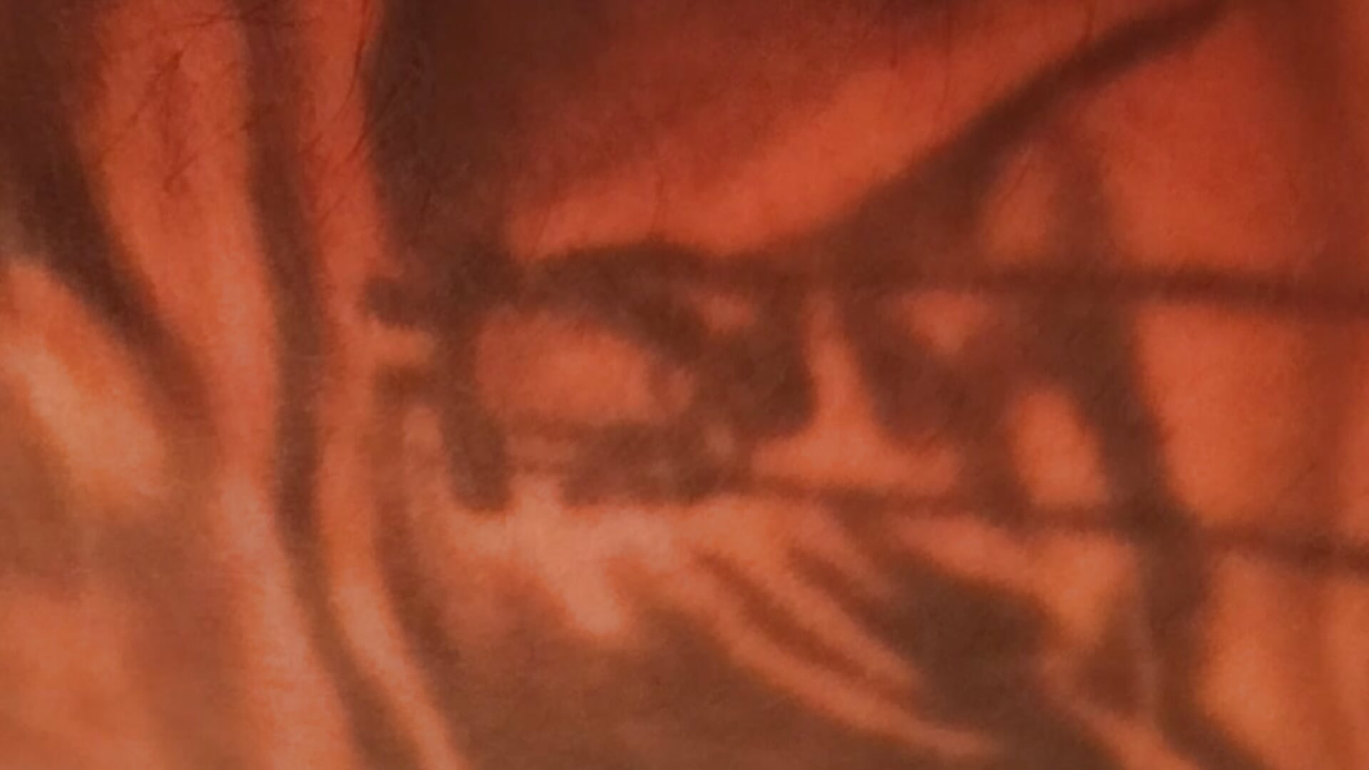 VID_20251121_231537 - video by Ferxxxo1503 cam model