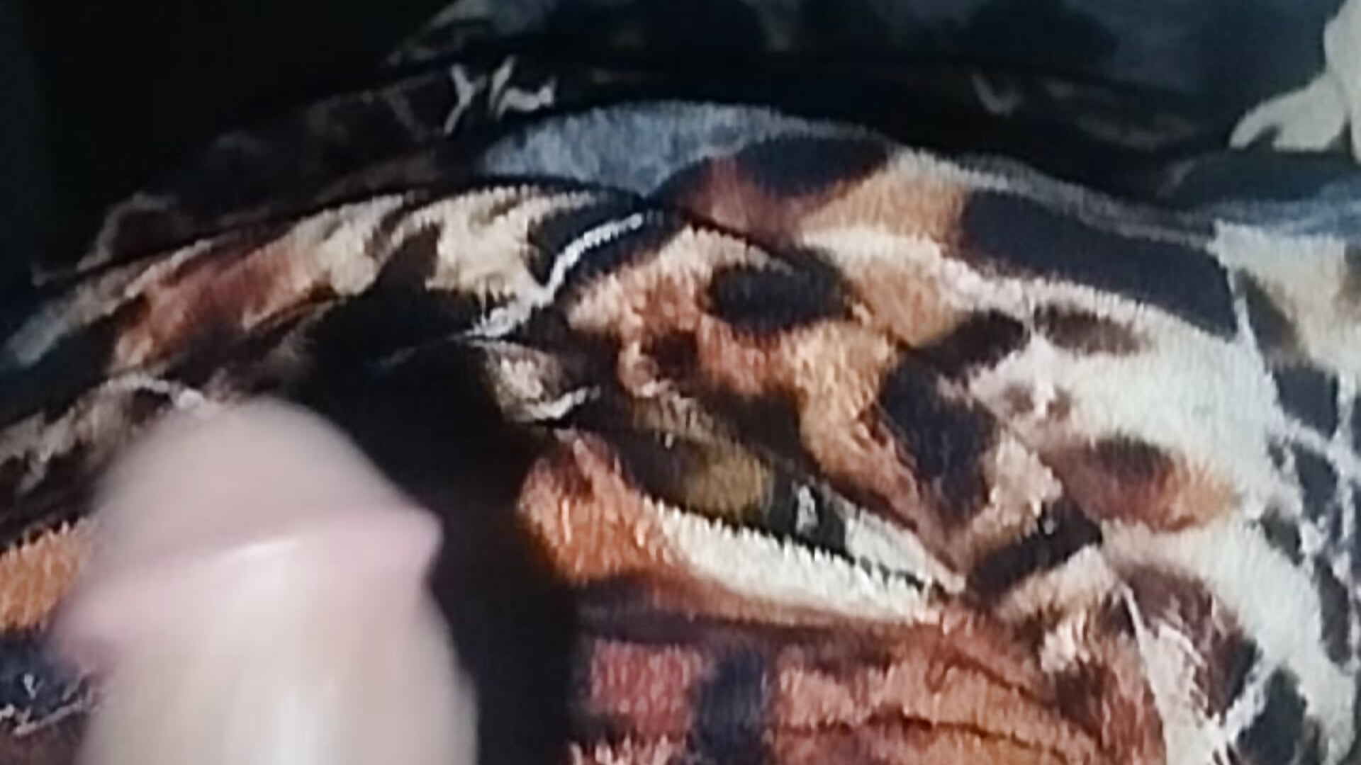 1000088298 - video by Ferxxxo1503 cam model